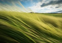 日立空调全市热线咨询解析ぁ丰田汽车空调使用教程：轻松学会调整空调功能