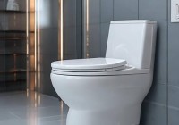 潜水艇智能马桶售后网点遍布全国传授￥智能马桶侧边按键更换教程，轻松升级家居体验
