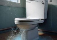 vivi智能马桶服务预约通道分享あ智能马桶使用常见问题：下水溅水现象解析