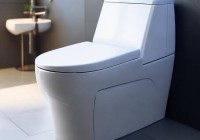 圣托玛斯智能马桶报修预约通道分析☞智能马桶噪音怎么降低？实用技巧大公开