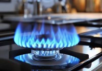 雅丽家集成灶维修支持中心解读,好太太集成灶：厨房生活新选择，高效节能好帮手